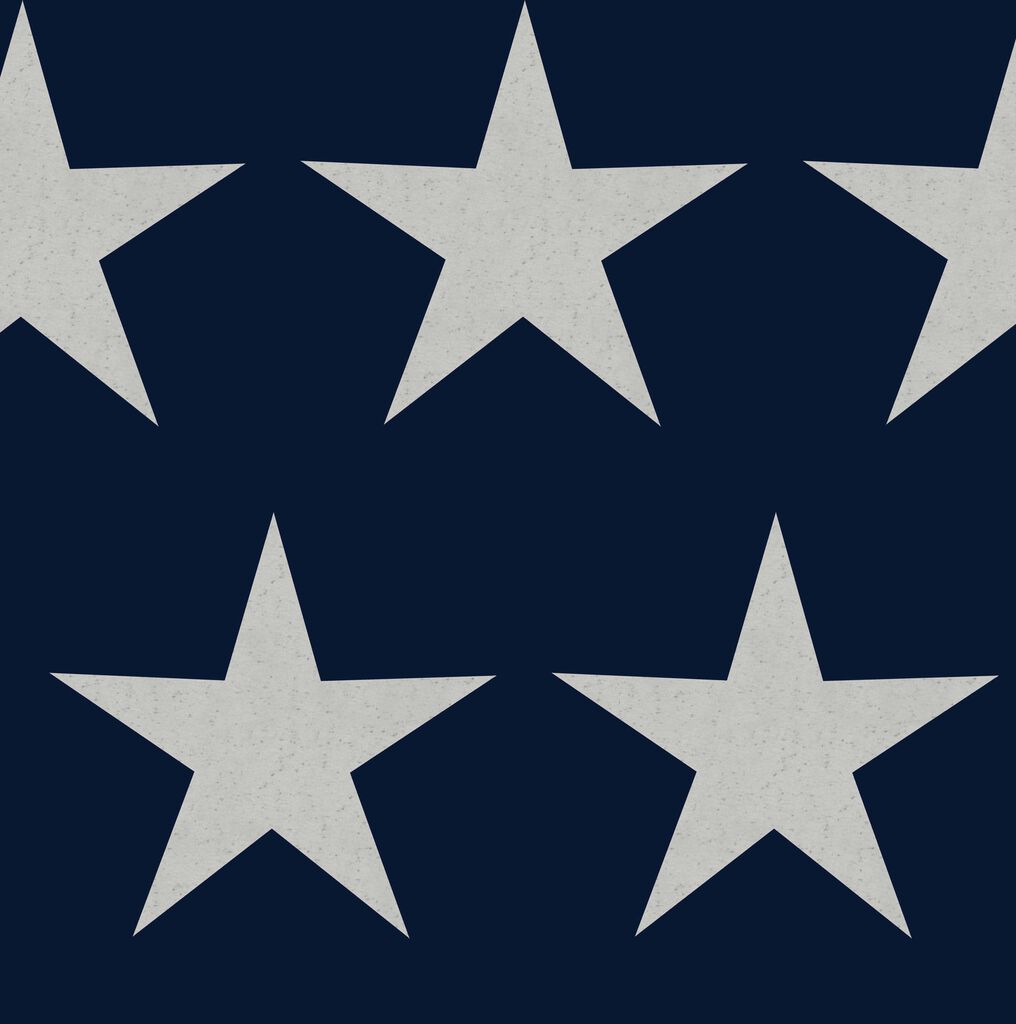 Stars Navy Blue Wallpaper 118330 by Next