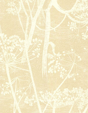 Cole And Son Cow Parsley Wallpaper 66-7049 by Cole & Son