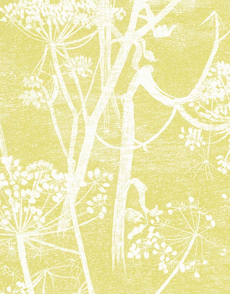 Cole And Son Cow Parsley Wallpaper 66-7051 by Cole & Son