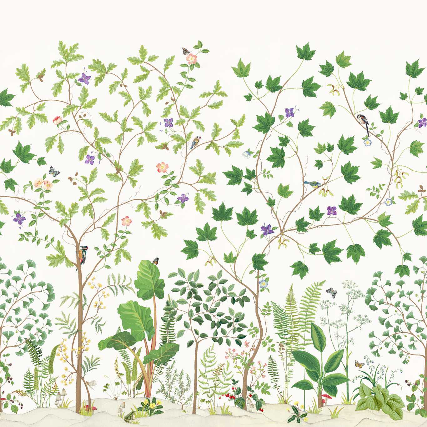 Sycamore & Oak Botanical Green Wallpaper DABW217211 by Sanderson