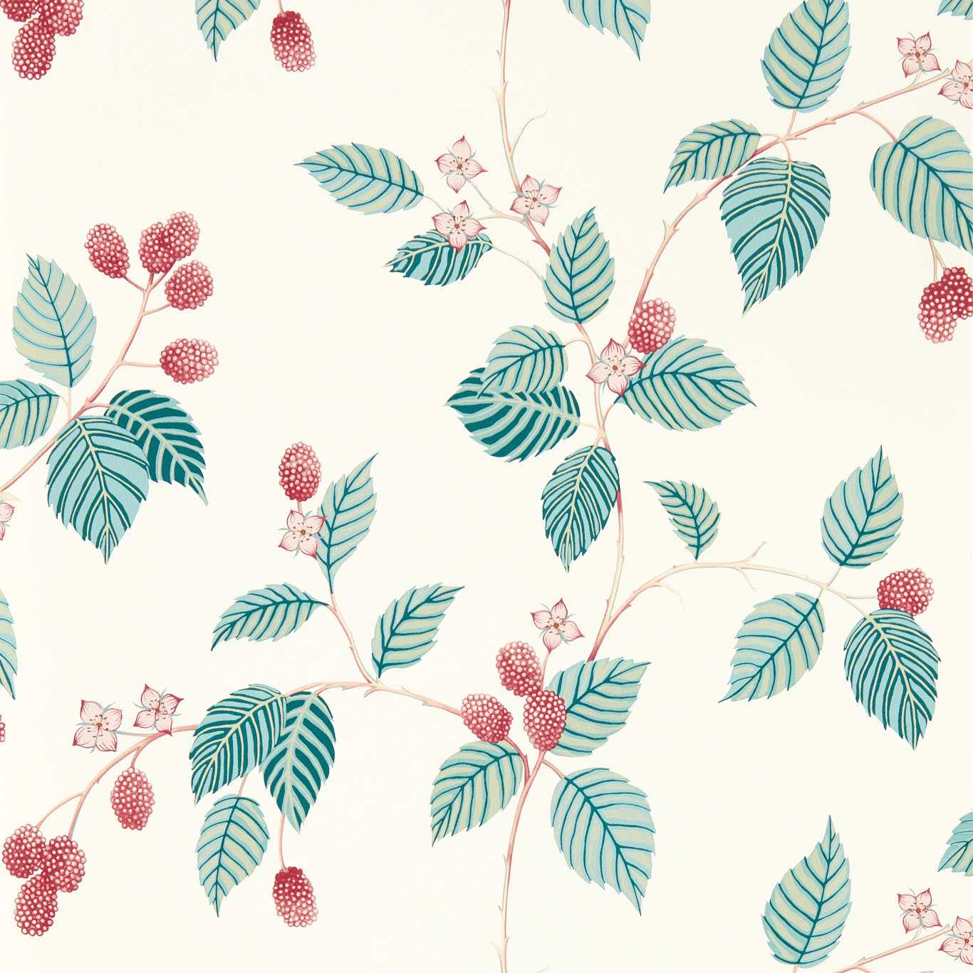 Rubus Raspberry Wallpaper DABW217228 by Sanderson