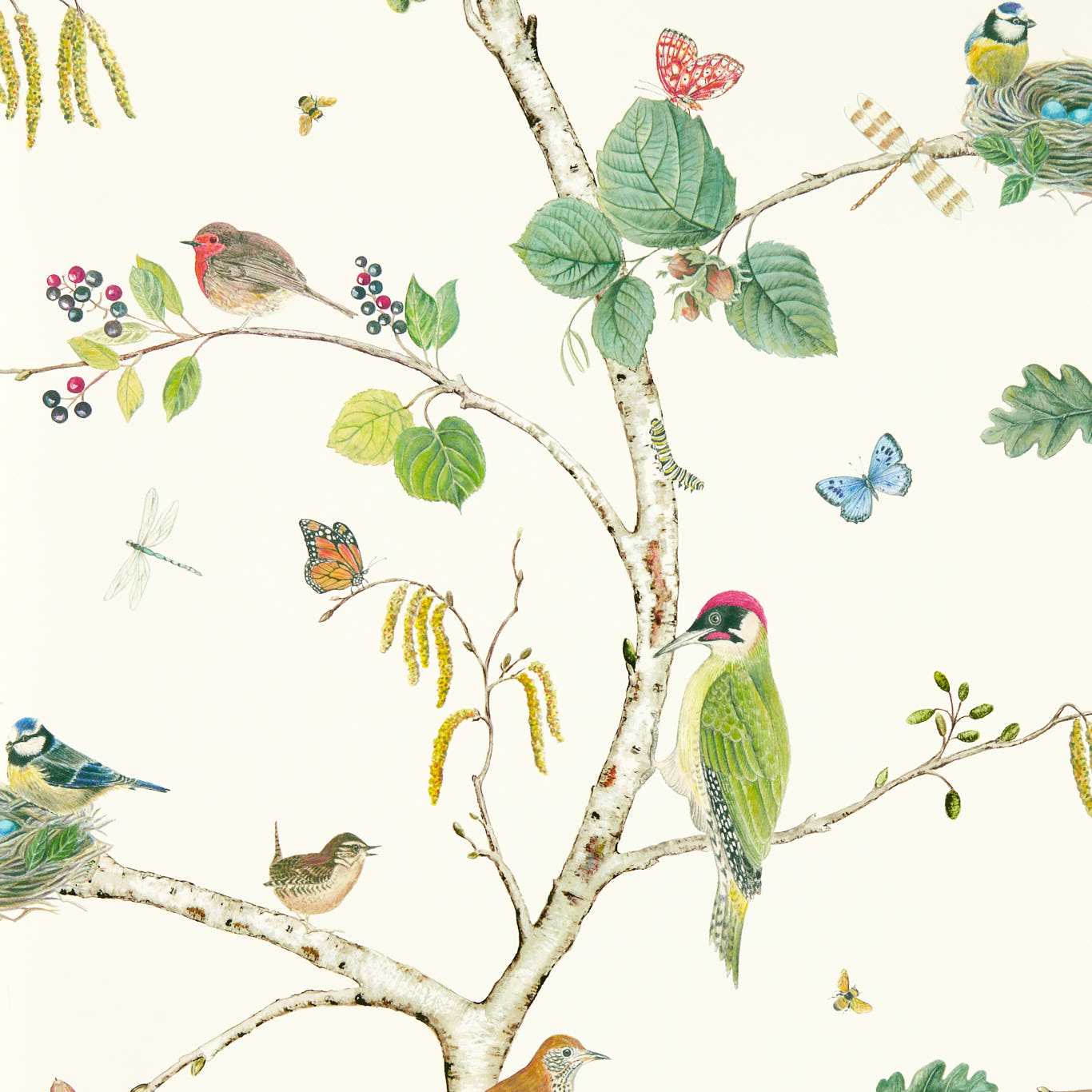 Woodland Chorus Botanical/Multi Wallpaper DABW217230 by Sanderson