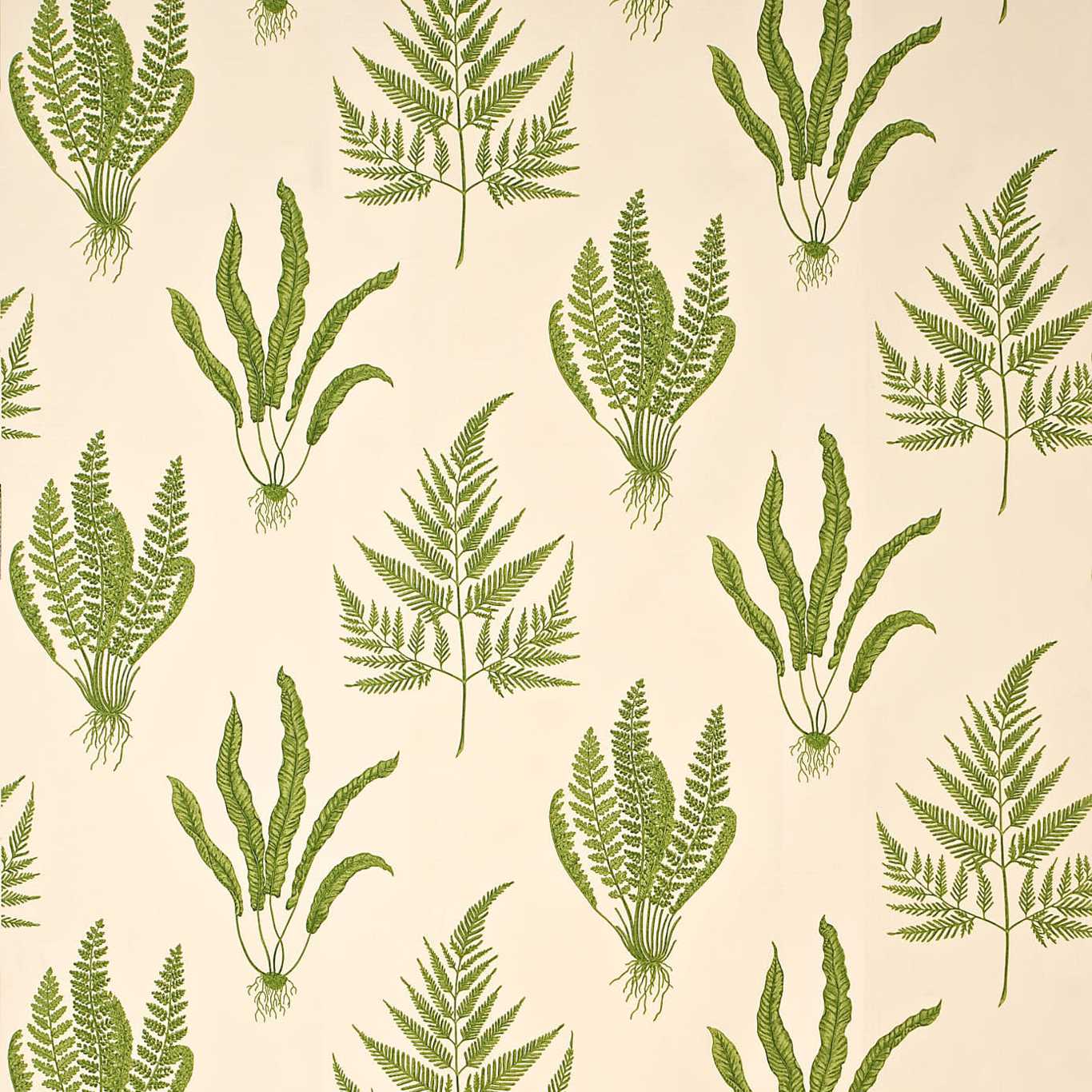 Woodland Ferns DAPGWO202 Green Fabric By Sanderson