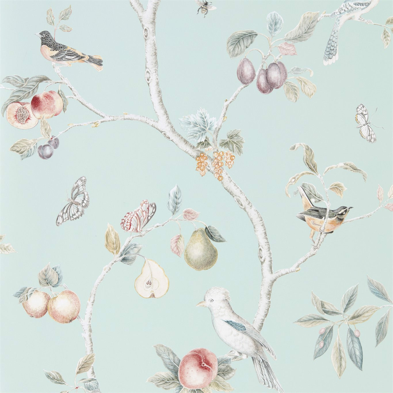 Fruit Aviary Duck Egg/Multi Wallpaper DART216312 by Sanderson