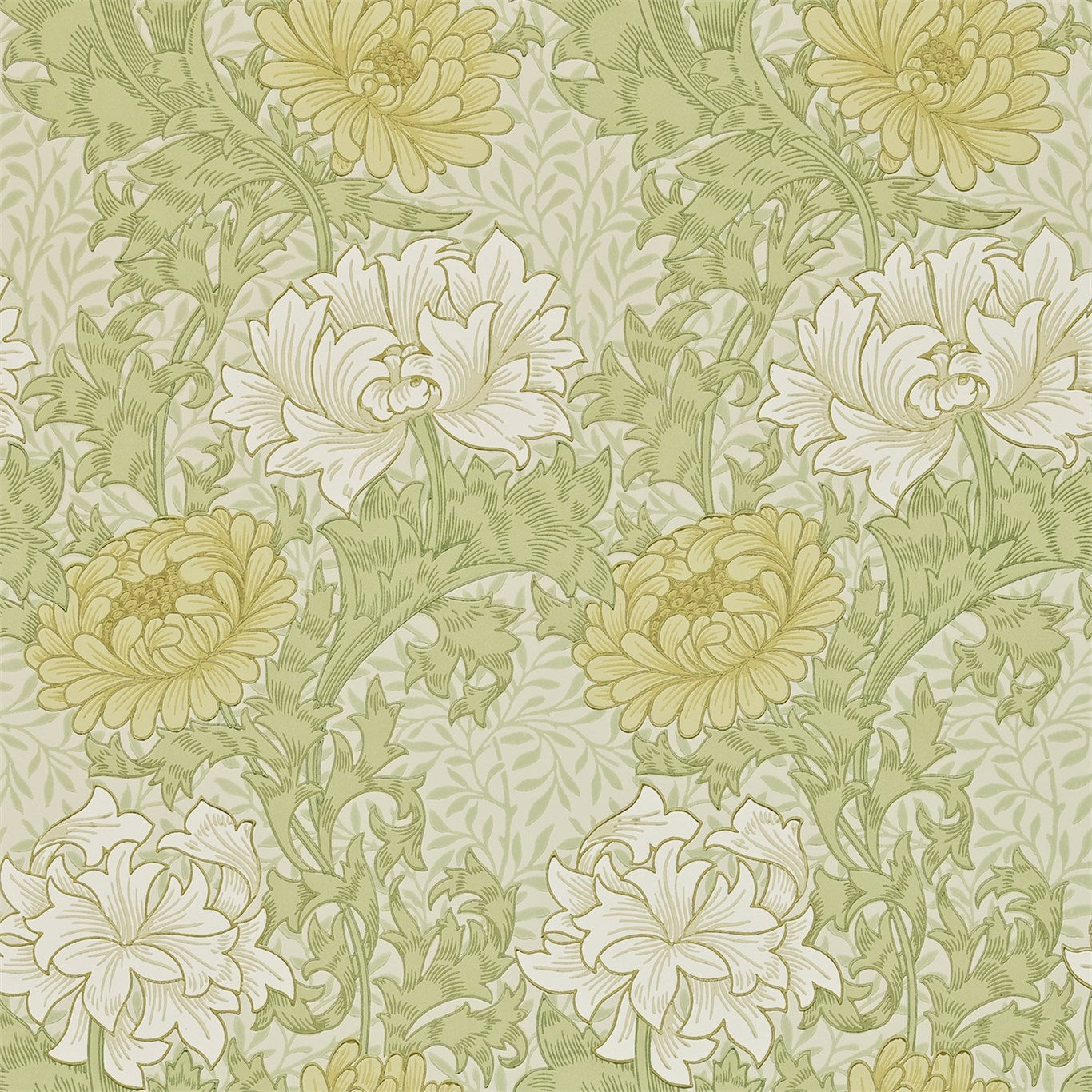 Chrysanthemum Pale Olive Wallpaper DARW212545 by Morris & Co