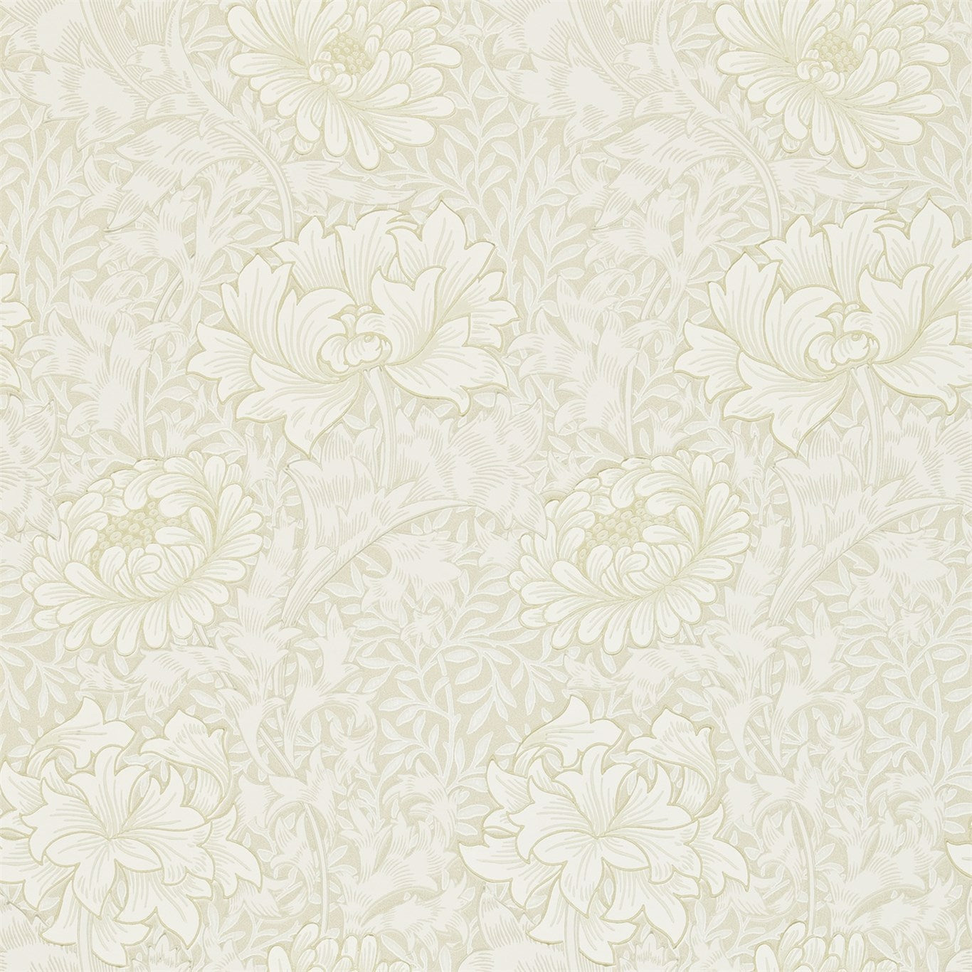 Chrysanthemum Chalk Wallpaper DARW212546 by Morris & Co