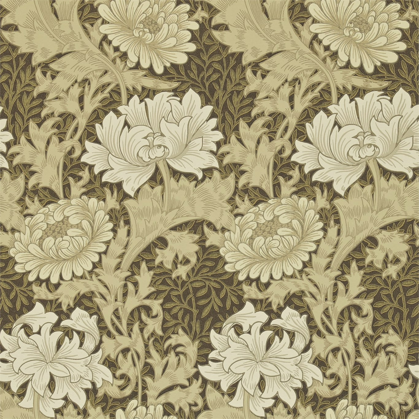 Chrysanthemum Bullrush Wallpaper DARW212547 by Morris & Co