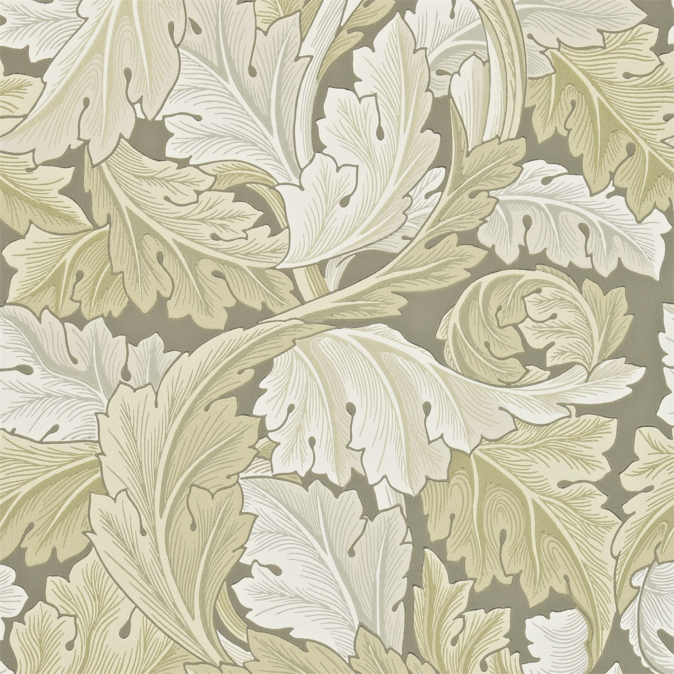Acanthus Stone Wallpaper DARW212552 by Morris & Co