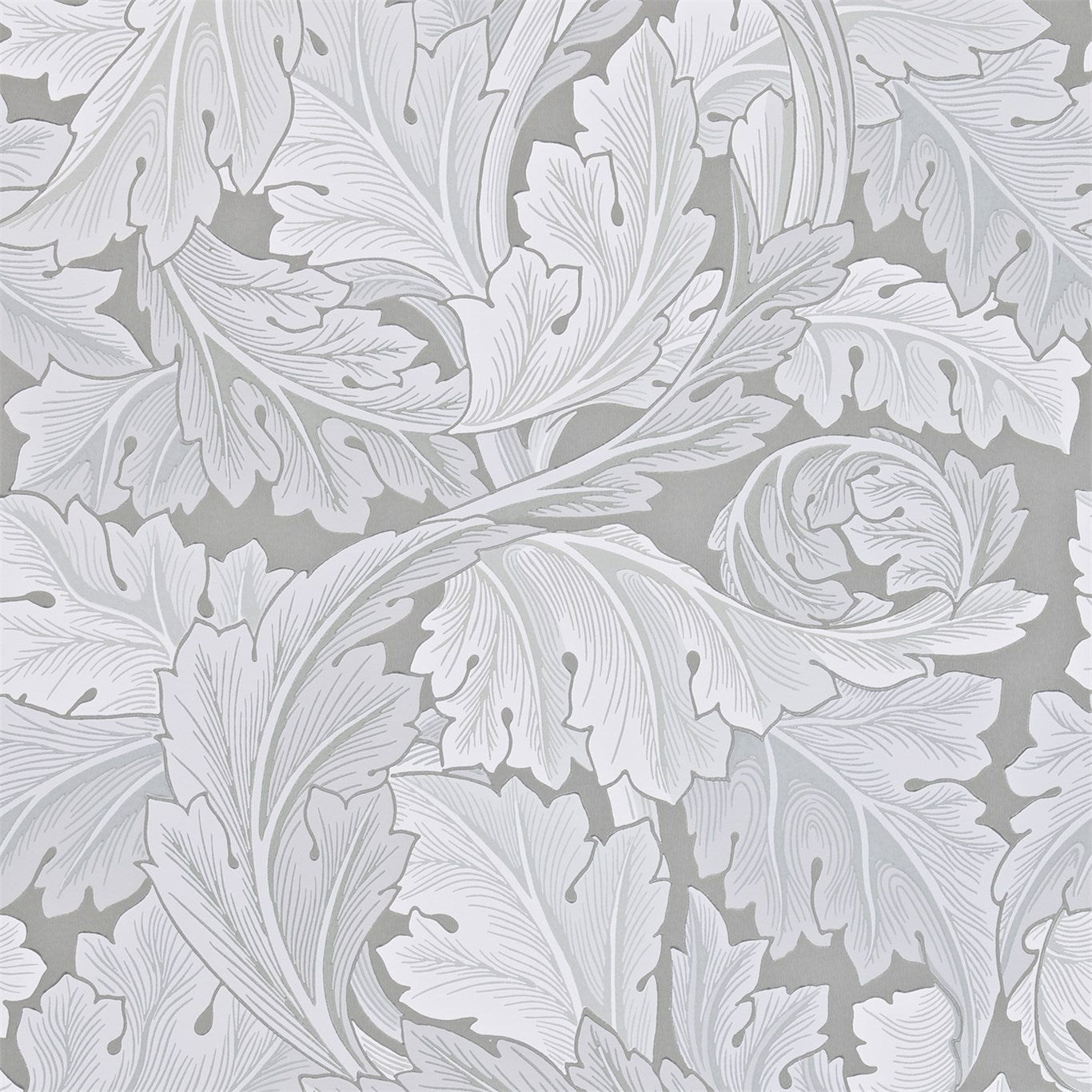 Acanthus Marble Wallpaper DARW212553 by Morris & Co