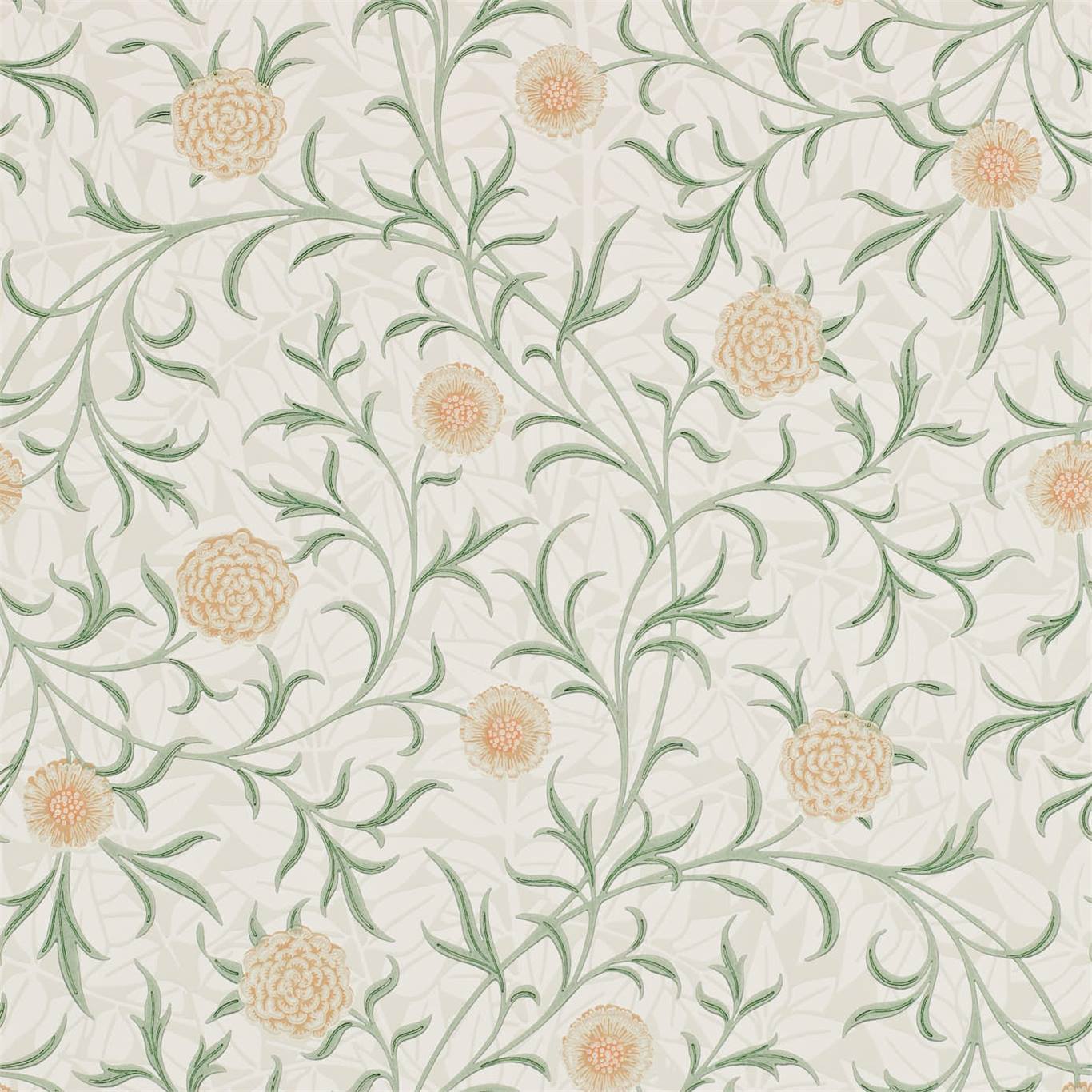 Scroll Thyme/Pear Wallpaper DCMW216831 by Morris & Co