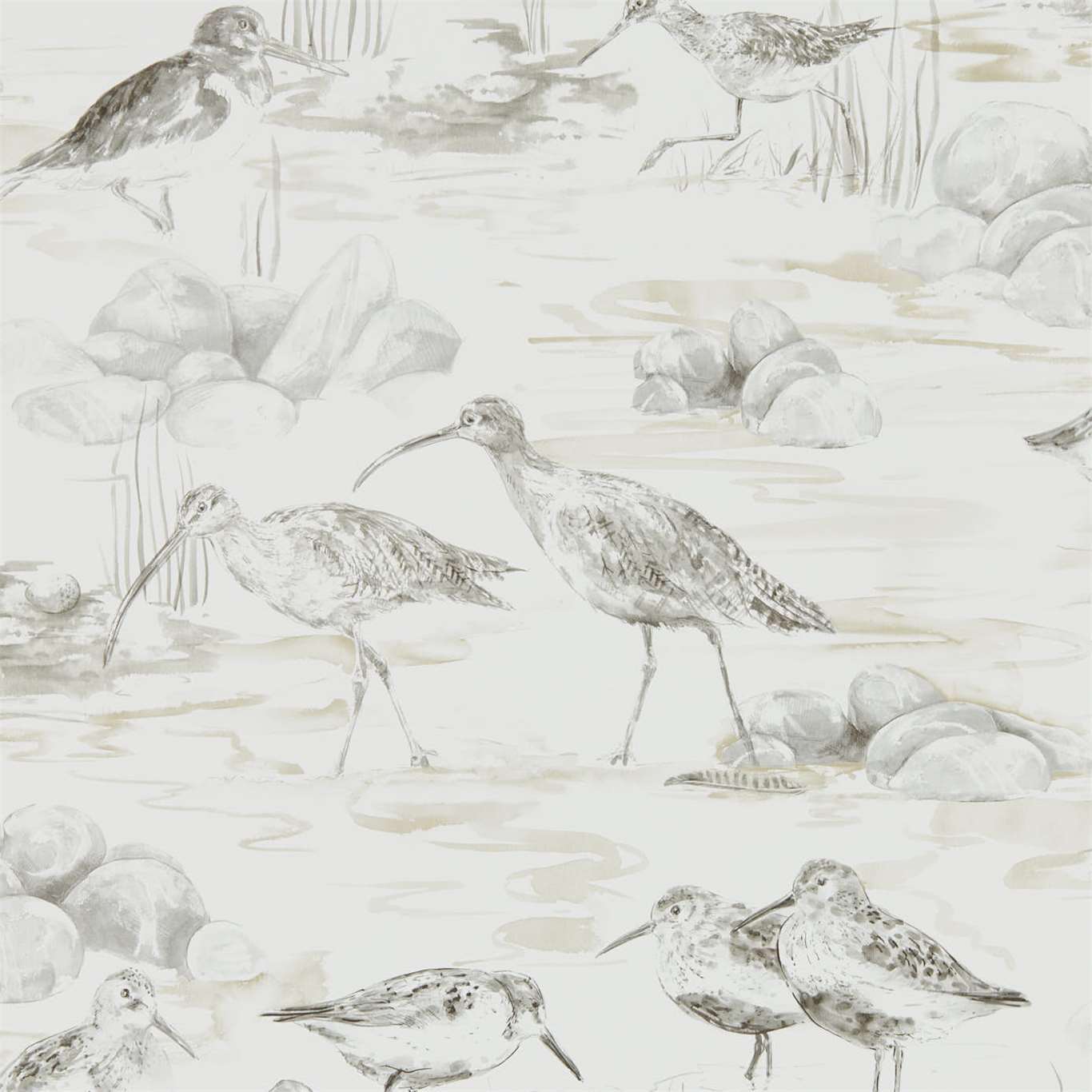 Estuary Birds Chalk/Sepia Wallpaper DEBB216493 by Sanderson