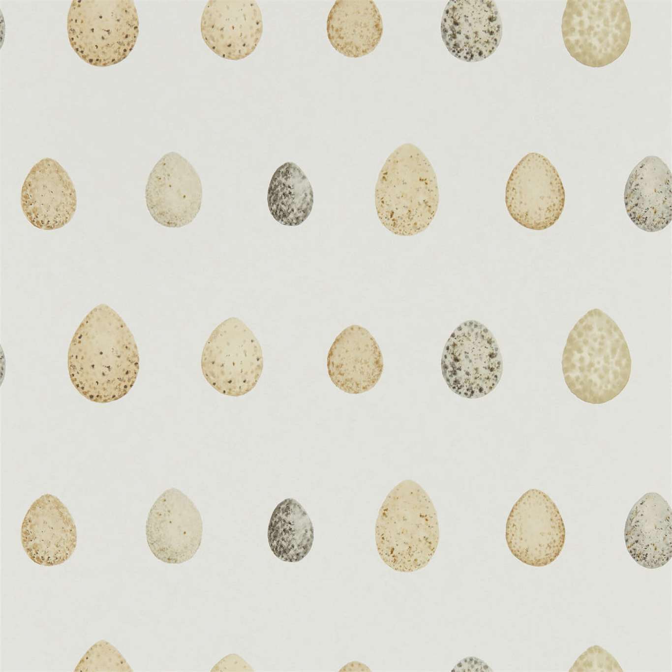 Nest Egg Corn Graphite Wallpaper DEBB216505 by Sanderson