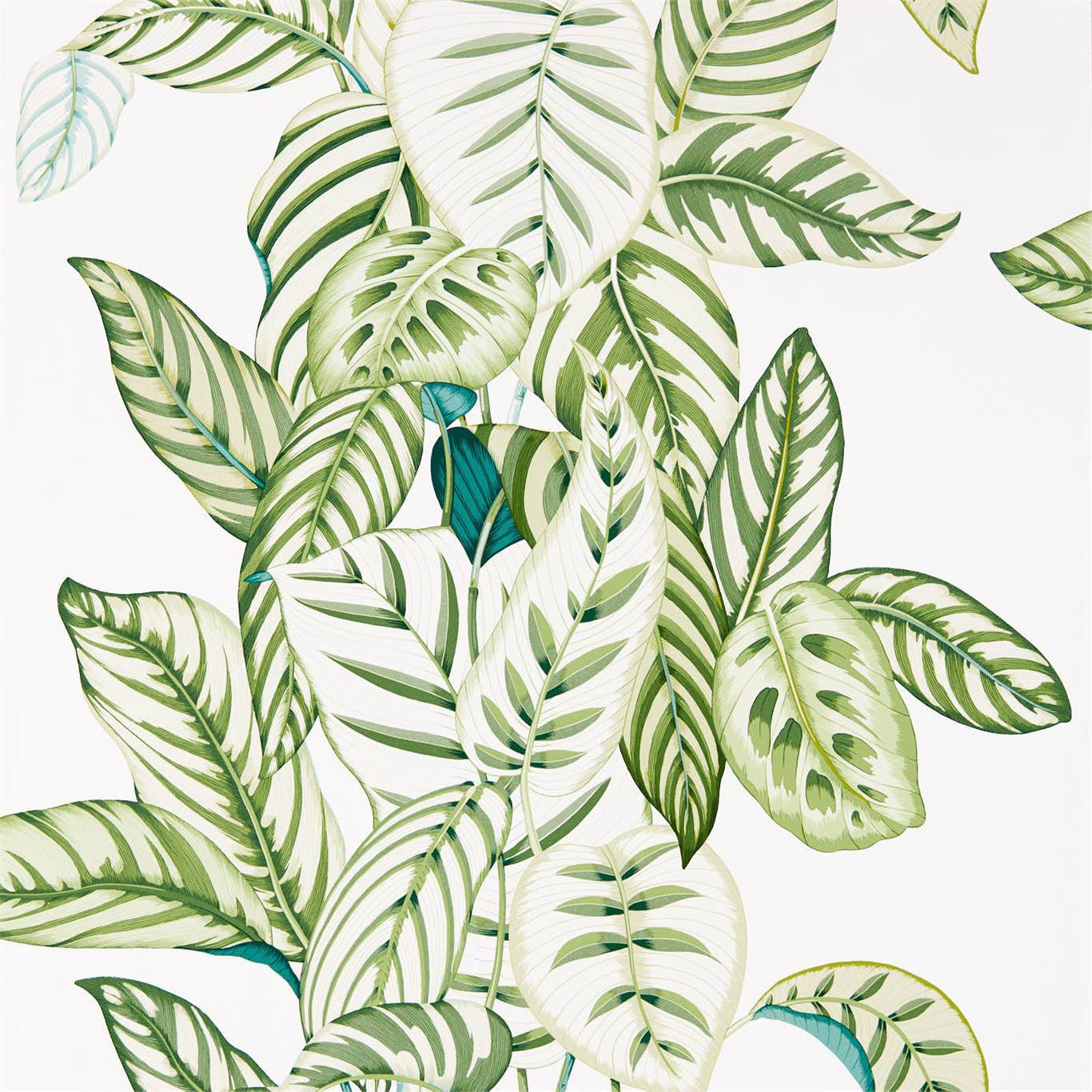 Calathea Botanical Green Wallpaper DGLW216630 by Sanderson