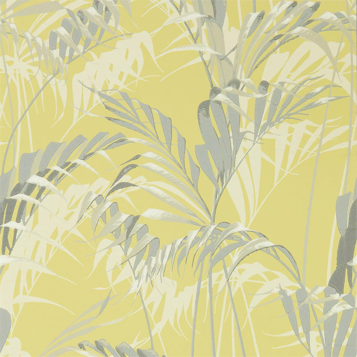 Palm House Chartreuse/Grey Wallpaper DGLW216642 by Sanderson