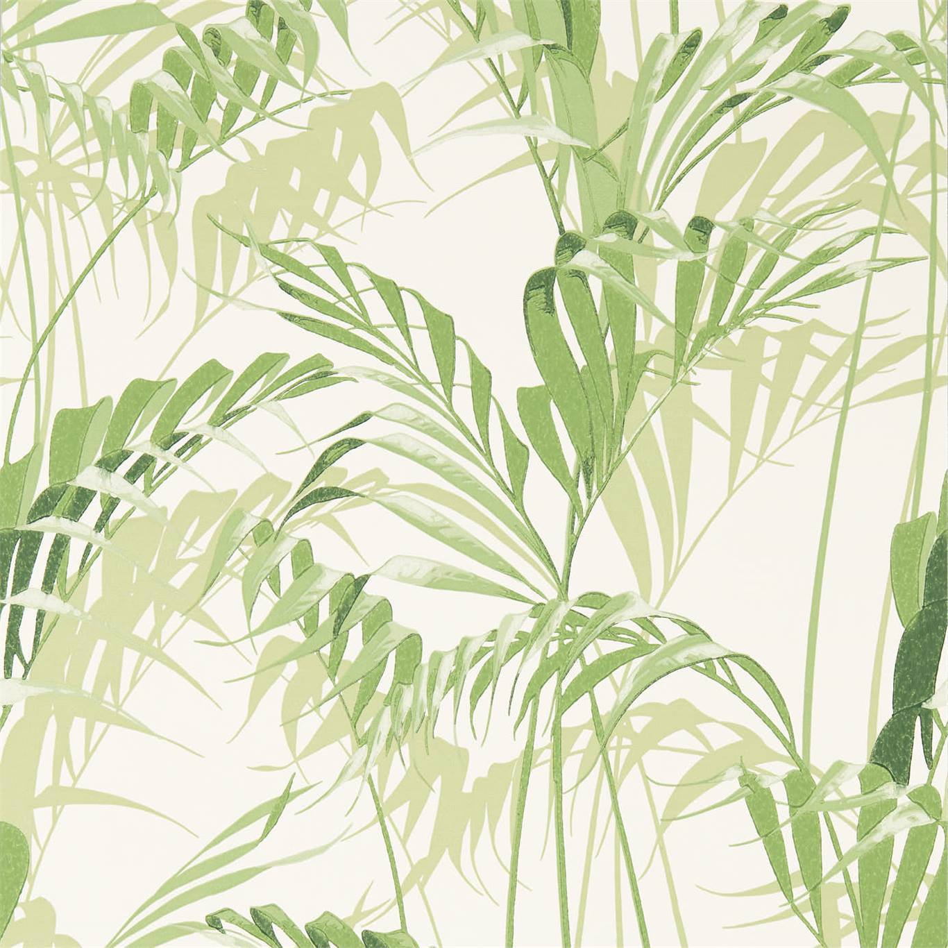 Palm House Botanical Green Wallpaper DGLW216643 by Sanderson