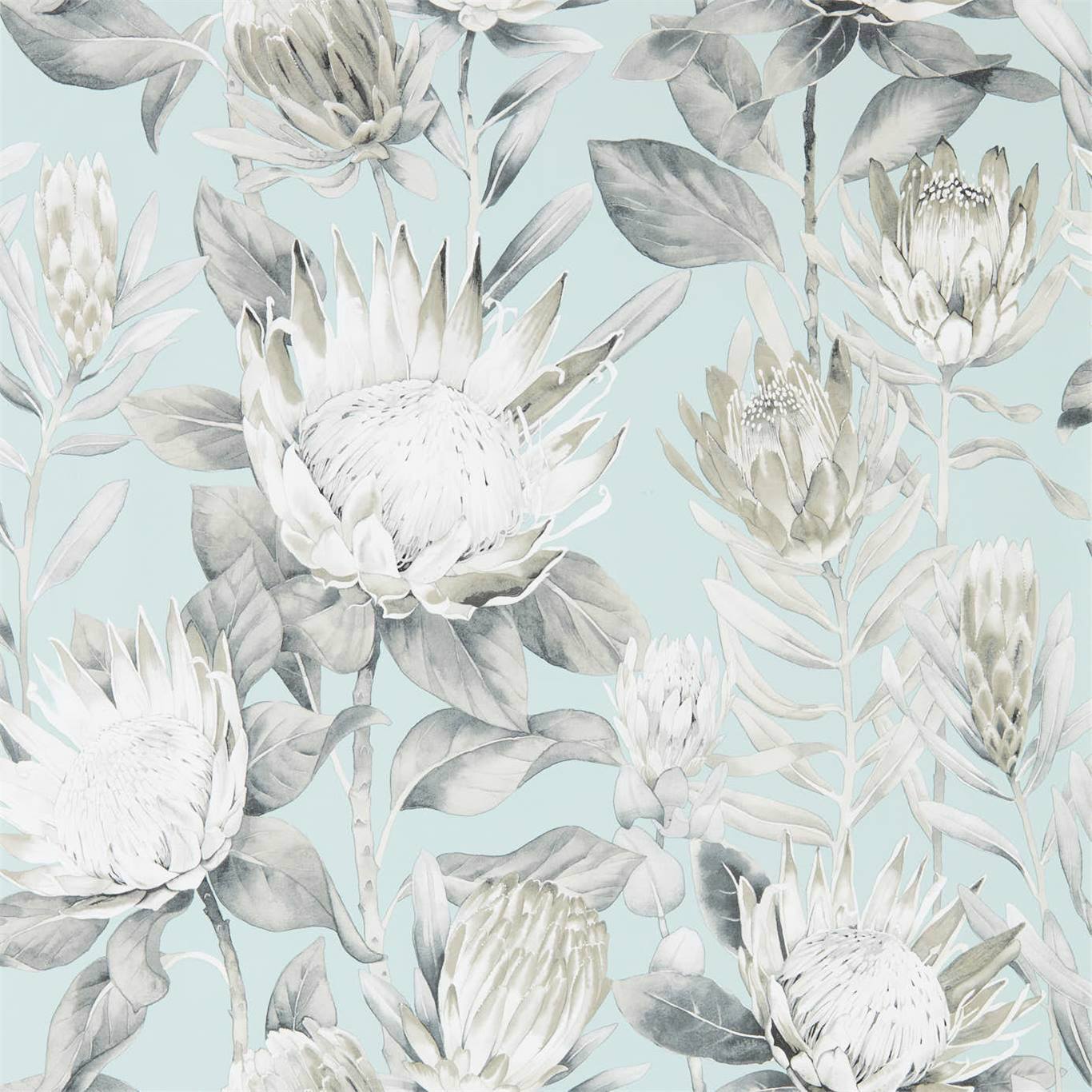 King Protea Aqua/Linen Wallpaper DGLW216645 by Sanderson