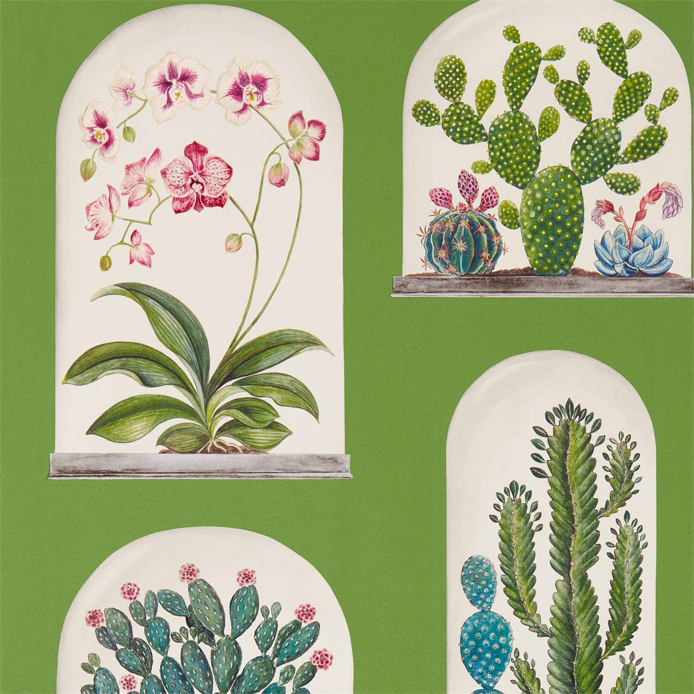 Terrariums Botanical Green/Multi Wallpaper DGLW216656 by Sanderson