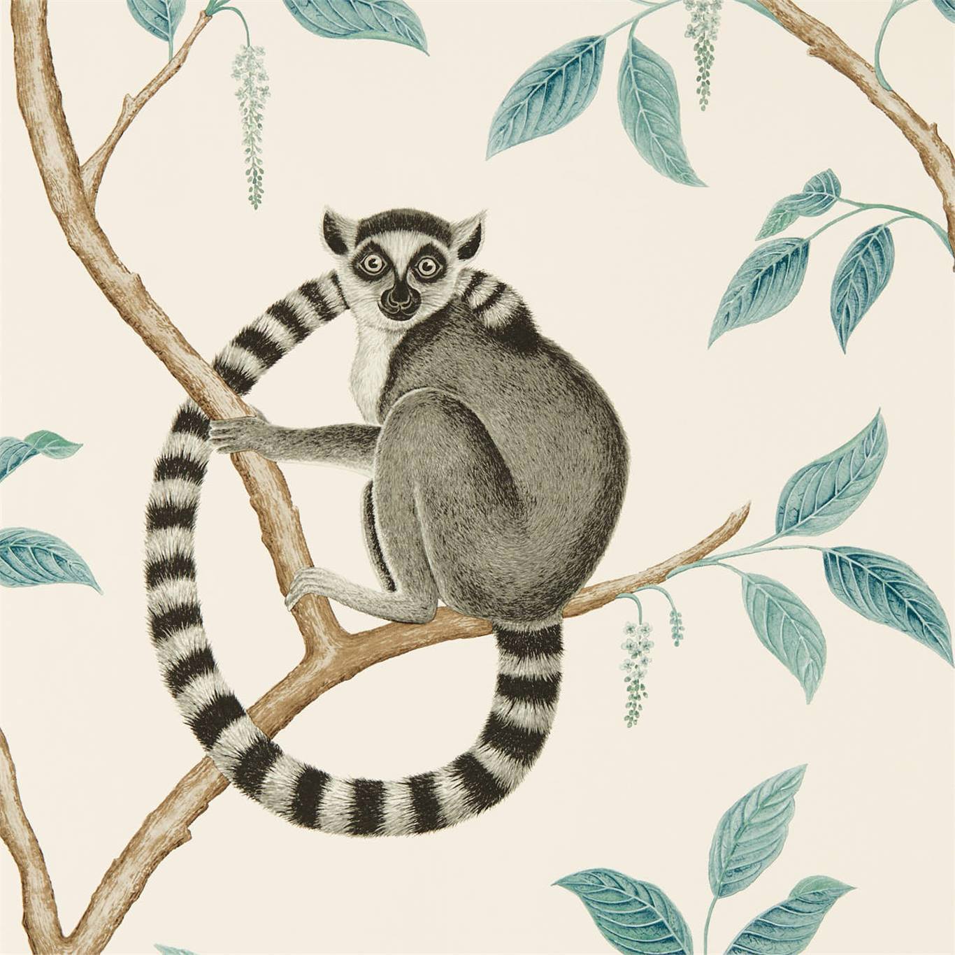 Ringtailed Lemur Ringtailed Lemur Stone/Eucalyptus Wallpaper DGLW216665 by Sanderson