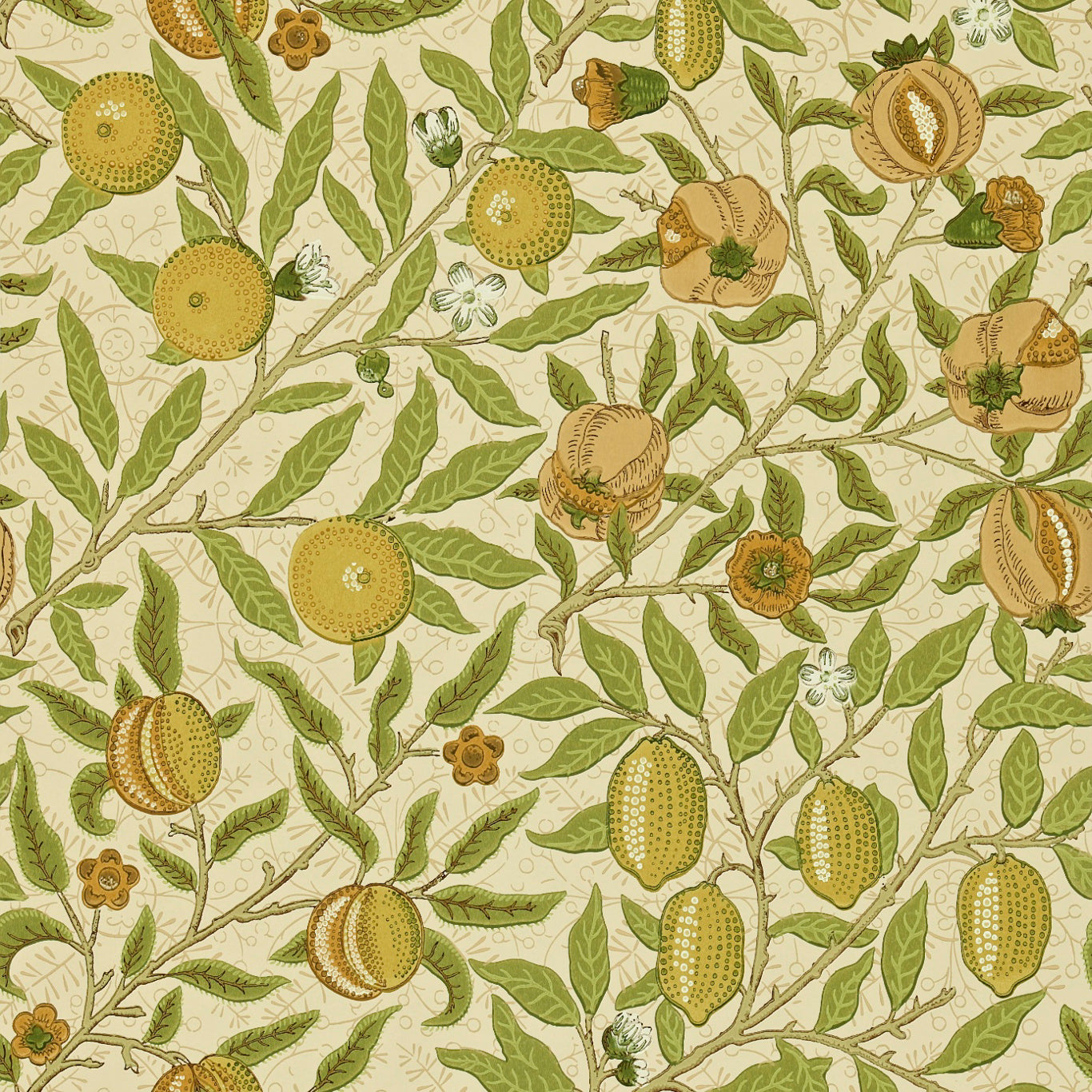 Fruit Lime/Green/Tan Wallpaper DGW1FU102 by Morris & Co