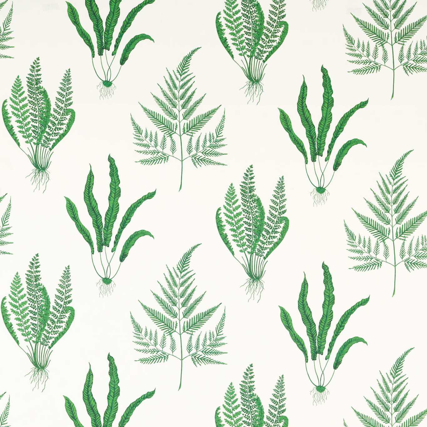 Woodland Ferns Botanical Green Fabric By Sanderson