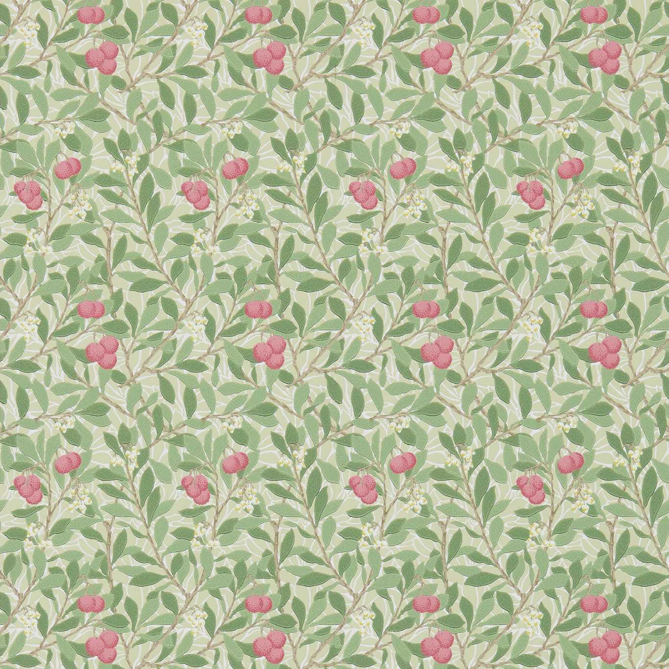Arbutus Olive/Pink Wallpaper DM3W214720 by Morris & Co