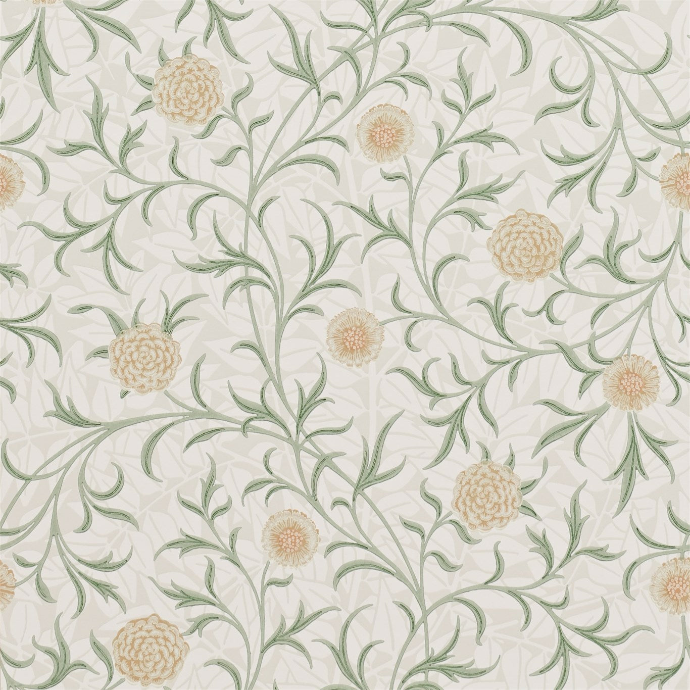 Scroll Thyme/Pear Wallpaper DM6P210365 by Morris & Co