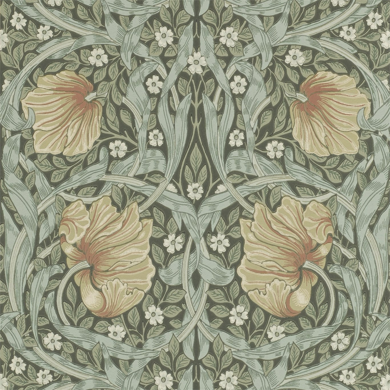 William Morris Pimpernel Wallpaper DM6P210388 by Morris & Co