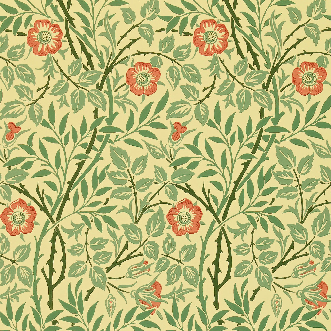 Sweet Briar Wallpaper DMC130101 by Morris & Co