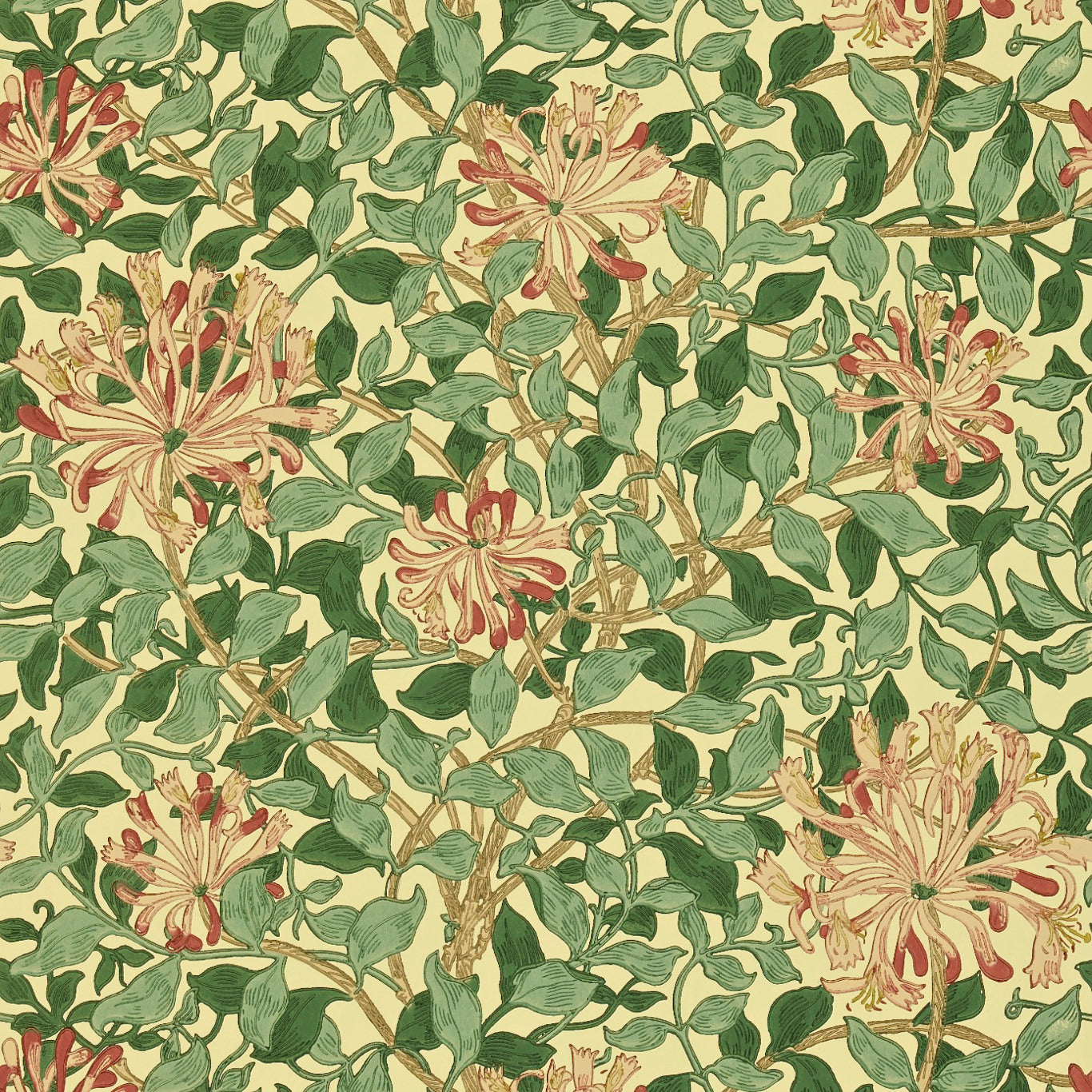 Honeysuckle Wallpaper DMC1HS102 by Morris & Co