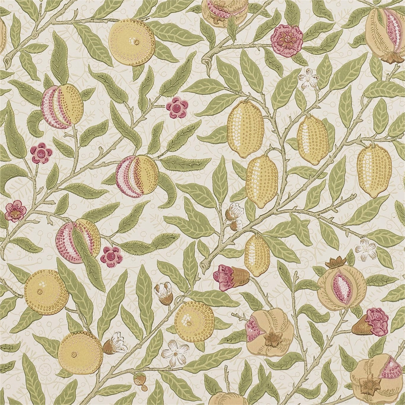 William Morris Fruit Wallpaper DMCR216459 by Morris & Co