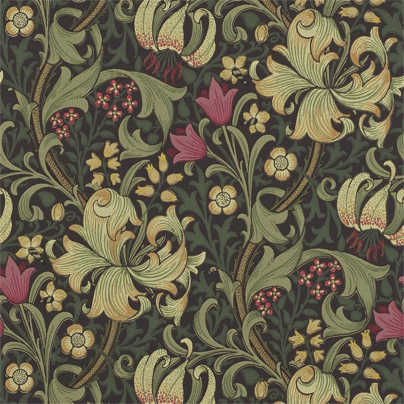 Golden Lily Charcoal/Olive Wallpaper DMCR216463 by Morris & Co