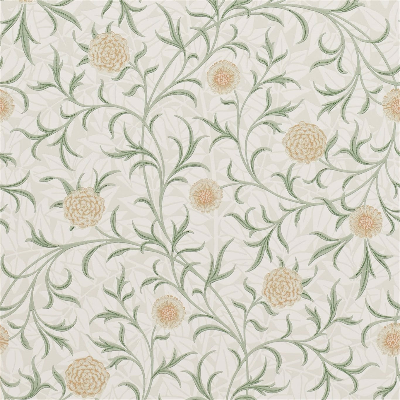 Scroll Thyme/Pear Wallpaper DMCR216473 by Morris & Co