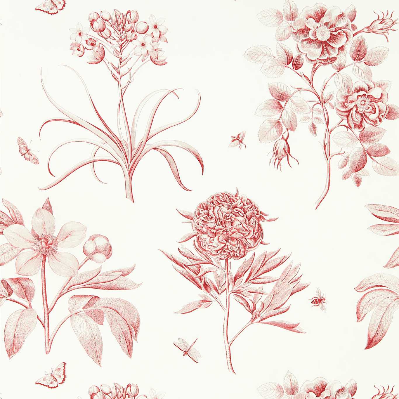 Etchings & Roses Amanpuri Red Wallpaper DOSW217054 by Sanderson