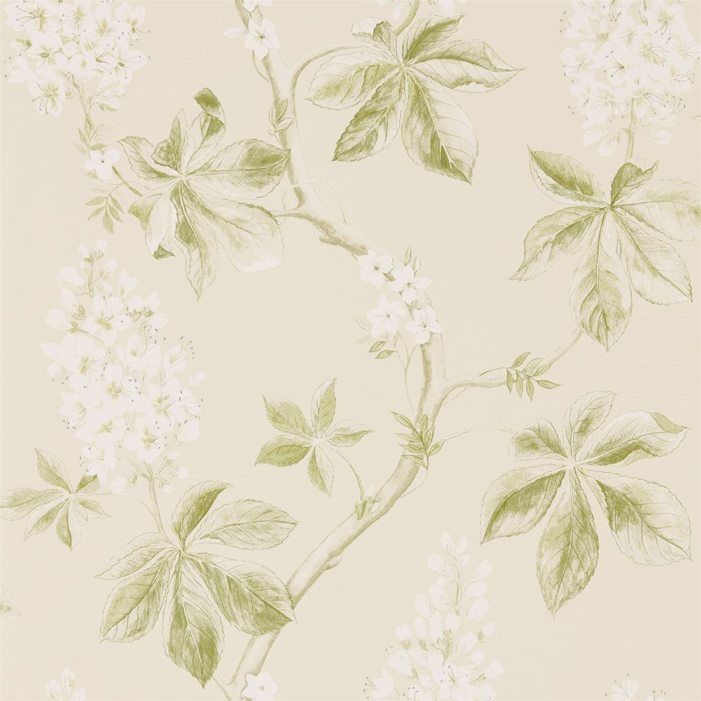 Chestnut Tree Lemon/Lettuce Wallpaper DWOW215707 by Sanderson