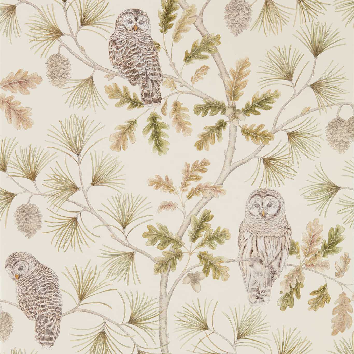 Owlswick (Wallpaper) Briarwood Wallpaper DYSI216597 by Sanderson