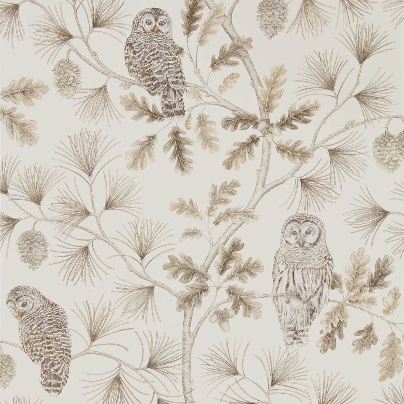 Owlswick (Wallpaper) Linen Wallpaper DYSI216598 by Sanderson