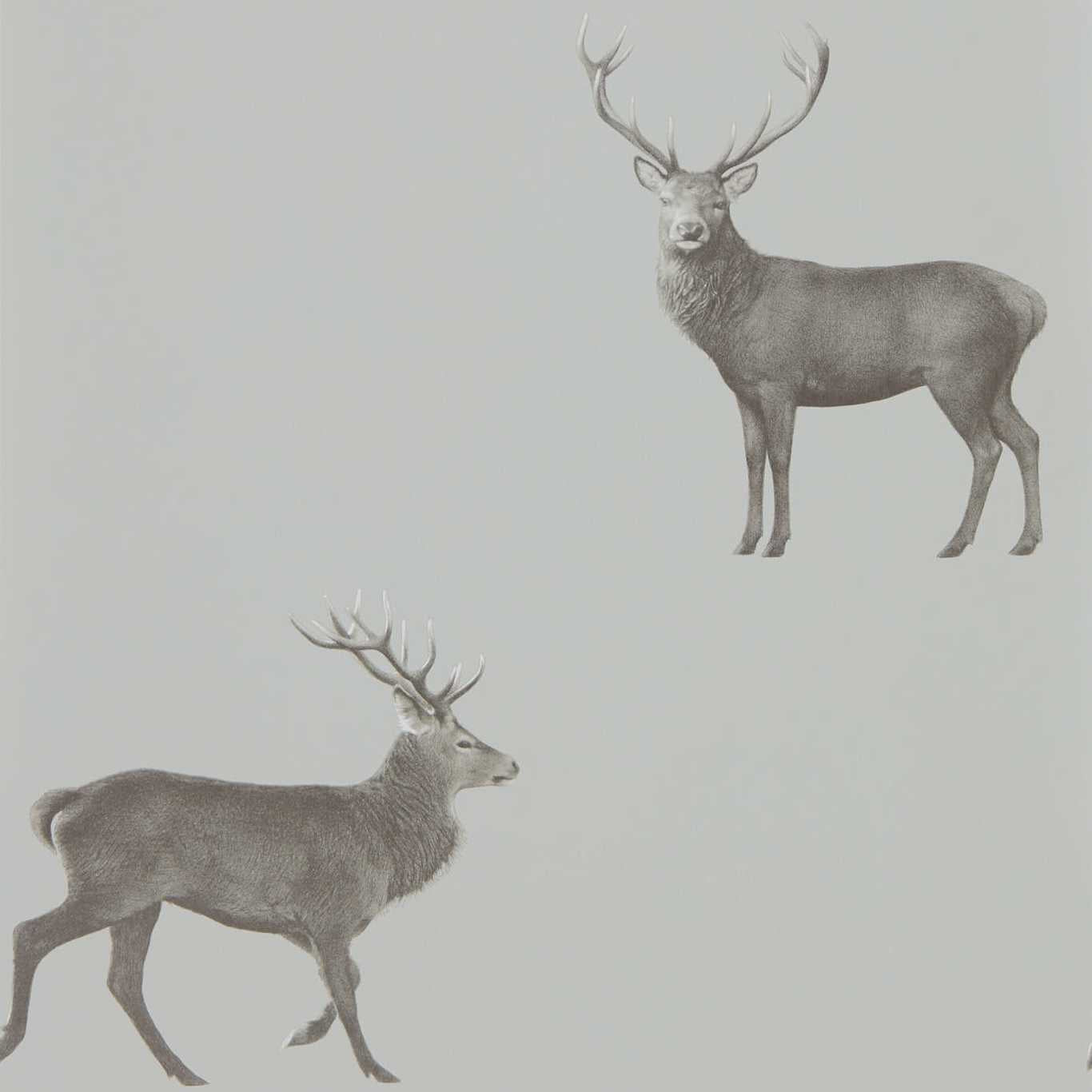 Evesham Deer (Wallpaper) Silver Grey Wallpaper DYSI216619 by Sanderson