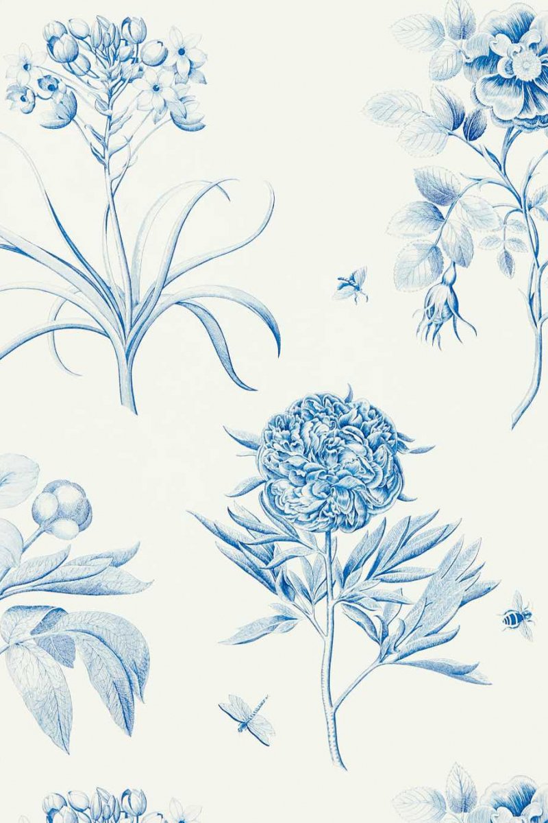 Etchings & Roses Wallpaper DOSW217052 by Sanderson