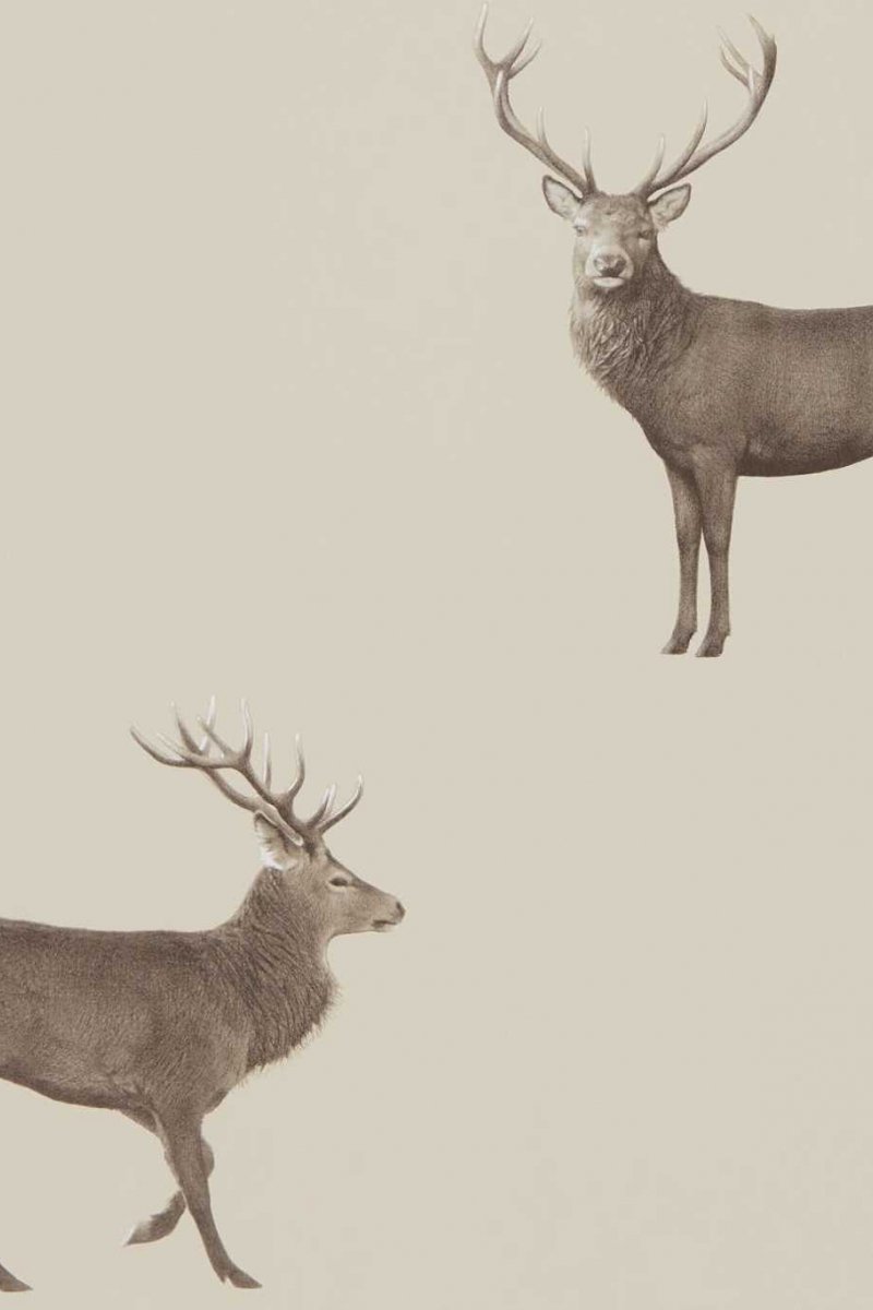 Evesham Deer (Wallpaper) Wallpaper DYSI216618 by Sanderson