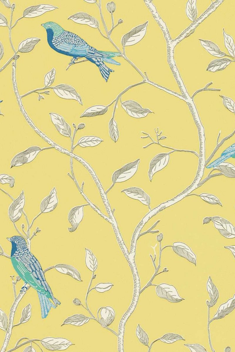 Finches Wallpaper DOPWFI101 by Sanderson