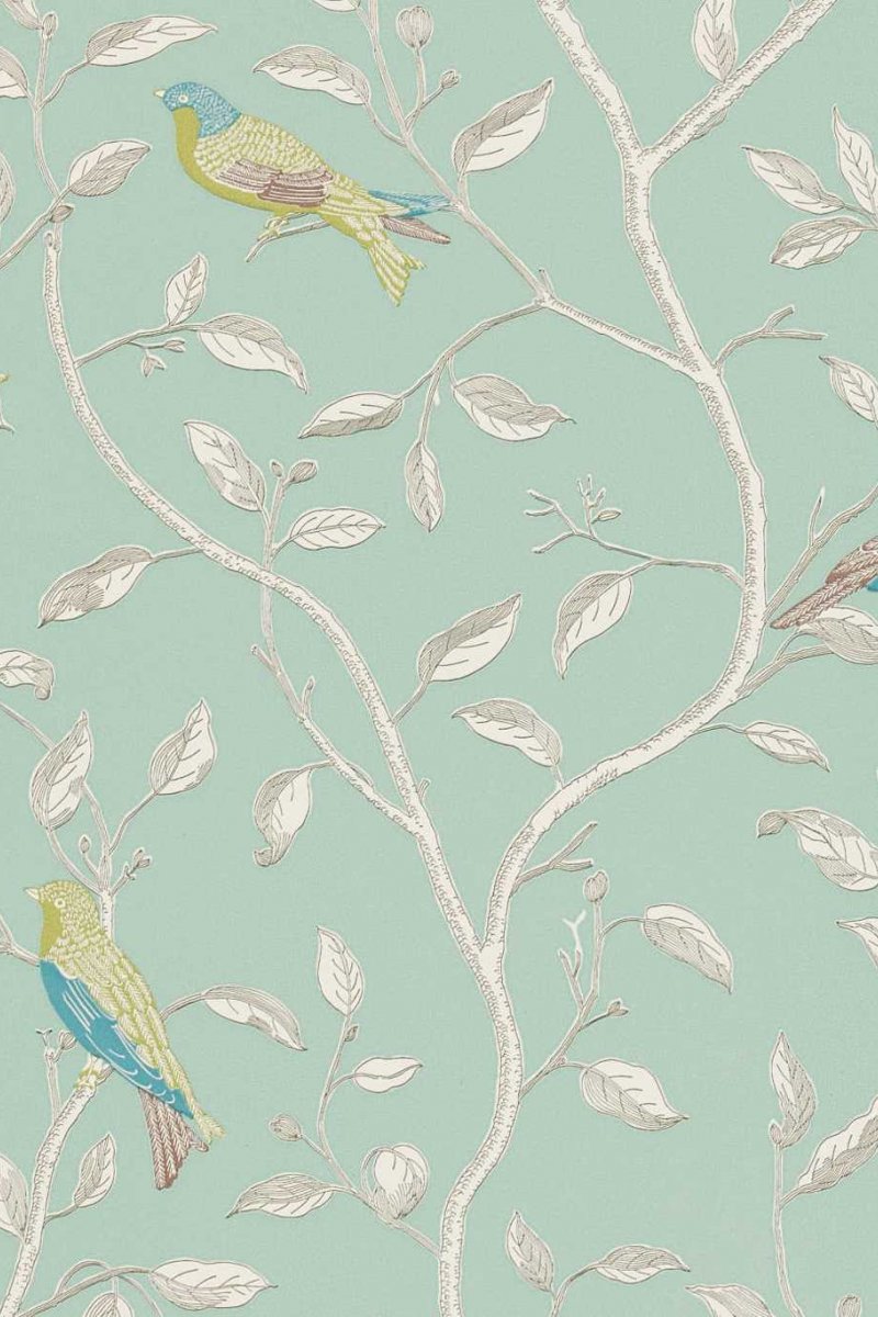 Finches Wallpaper DOPWFI103 by Sanderson