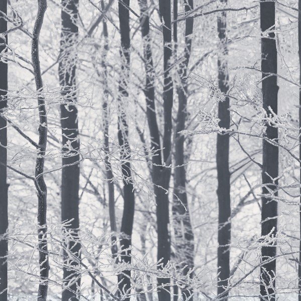 Frosted Wood Silver Wallpaper 670200 by Arthouse