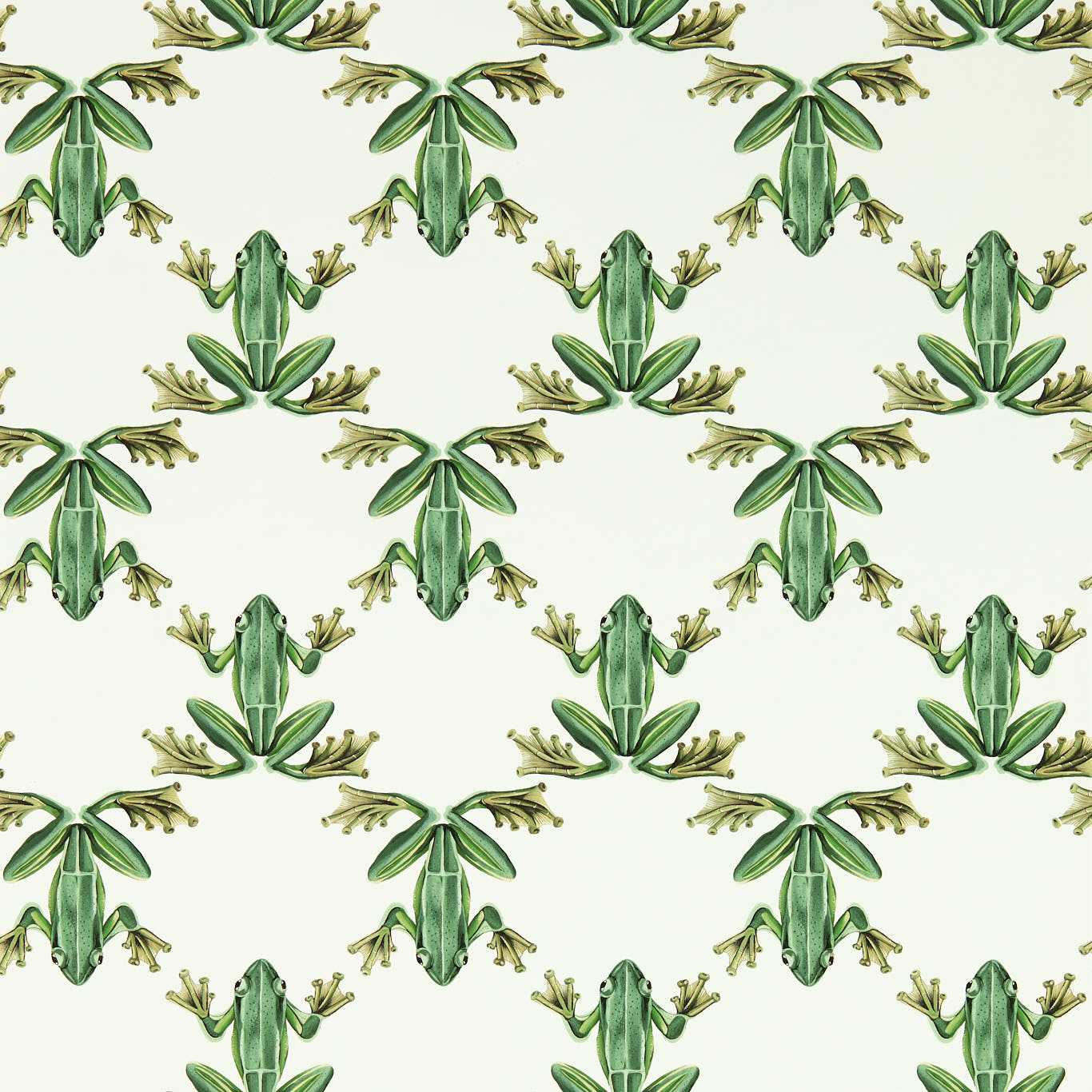 Wood Frog Forest/Chalk Wallpaper HC4W113011 by Harlequin