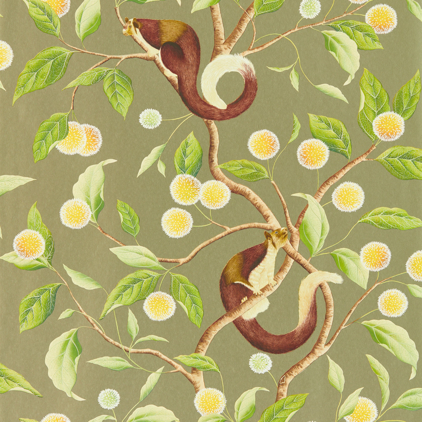 Nellie Gilver/Meadow Wallpaper HDHW112904 by Harlequin
