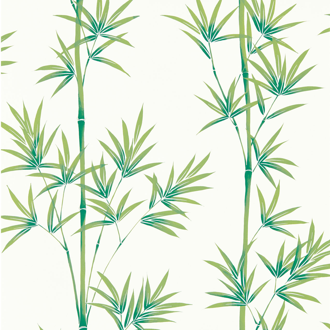 Isabella Porcelain/Bamboo Wallpaper HDHW112915 by Harlequin