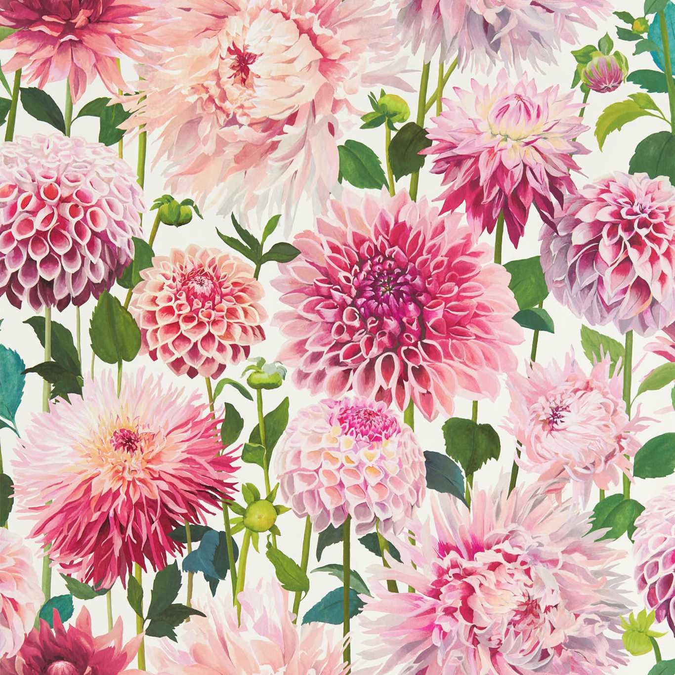 Dahlia Blossom/Emerald/New Beginnings Wallpaper HQN2112843 by Harlequin
