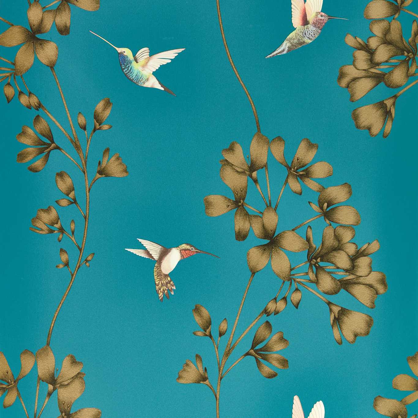 Amazilia Teal/Gold Wallpaper HTEW112604 by Harlequin