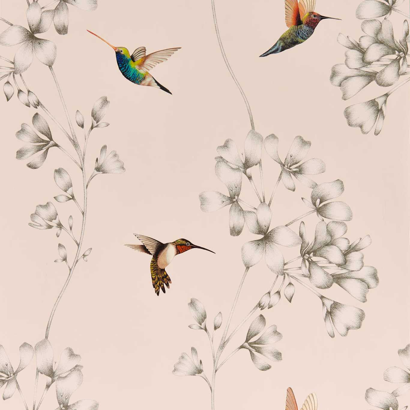 Amazilia Powder/Pearl Wallpaper HTEW112606 by Harlequin