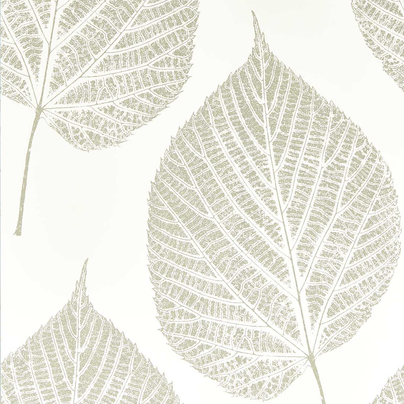 Leaf Chalk/Silver Wallpaper HTEW112609 by Harlequin