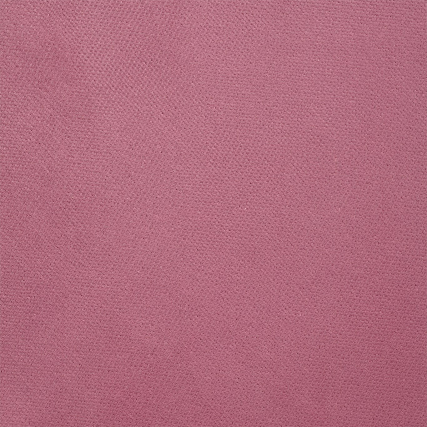 Villus Rose Fabric By Harlequin